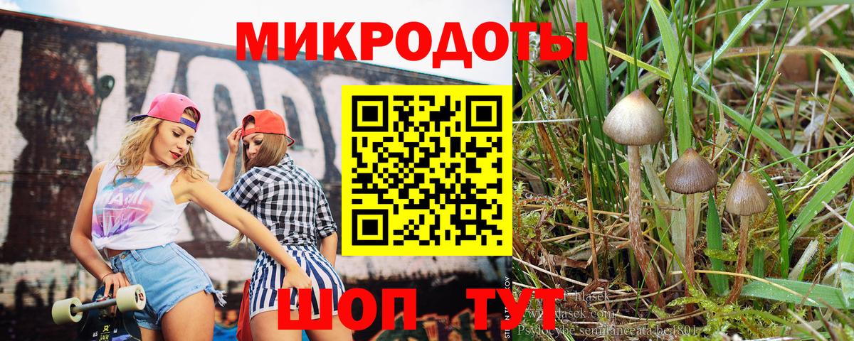 Галлюциногенные грибы мухоморы Звенигород